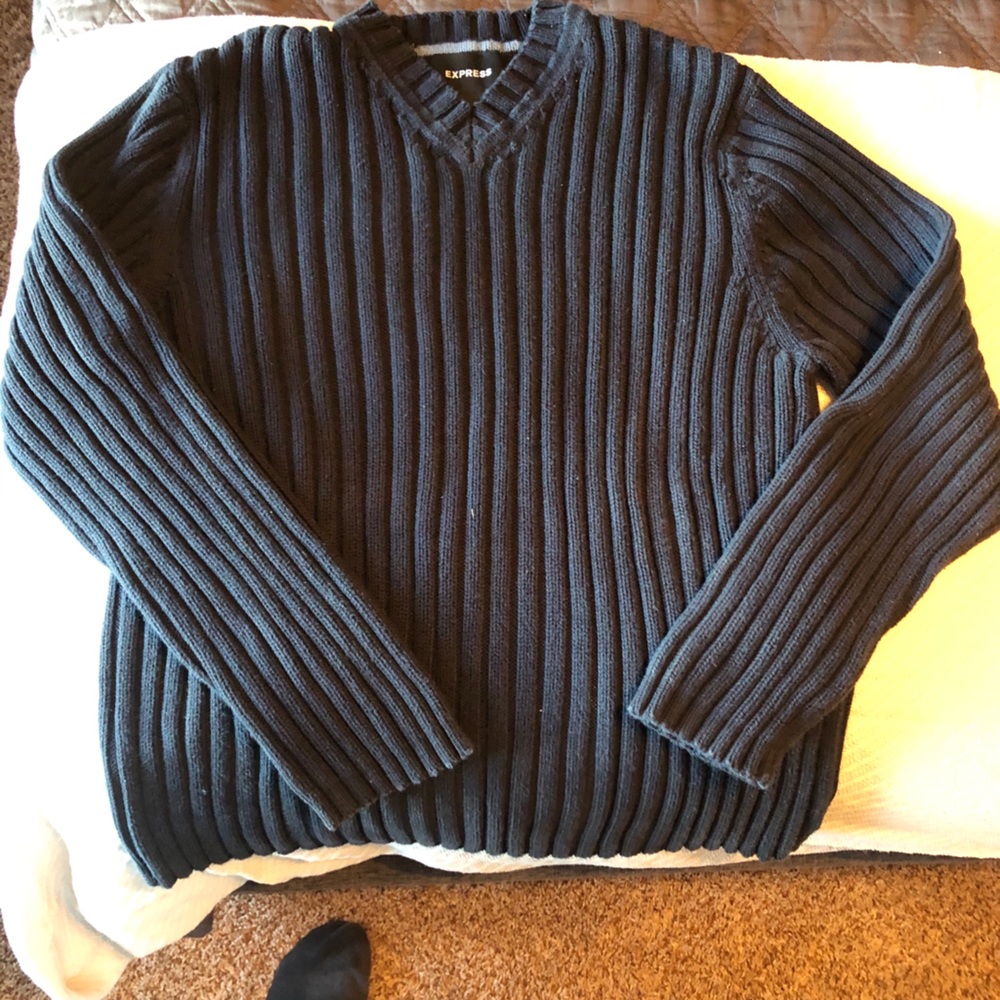 Express V-neck sweater